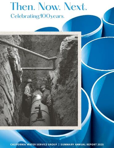 2025 Annual Report
