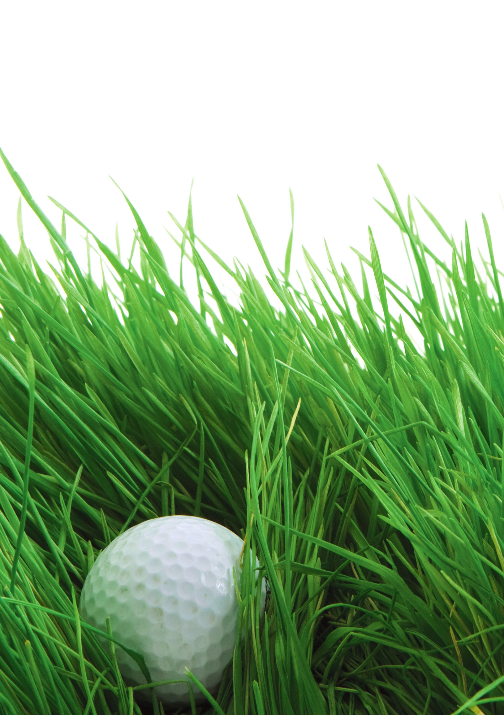 Golf ball resting in bright green grass