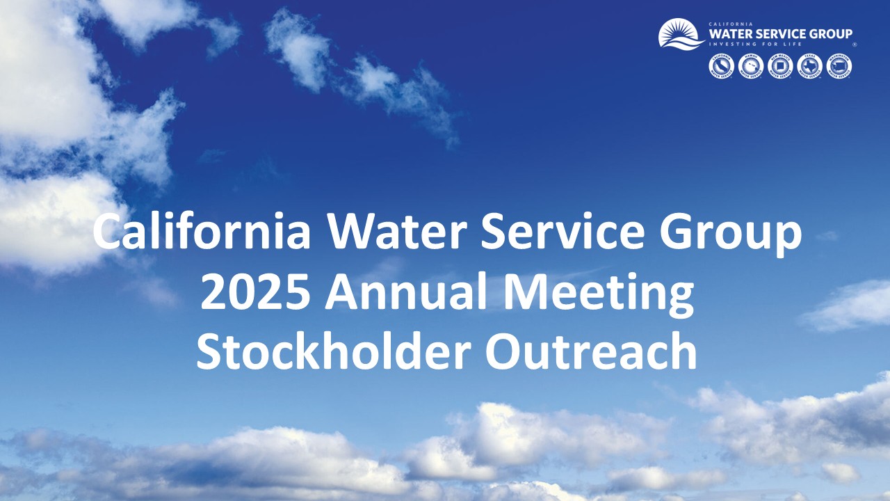 Accessible PDF of the 2025 Annual Stockholder Meeting Outreach presentation is available under the Documents dropdown at the top of the page