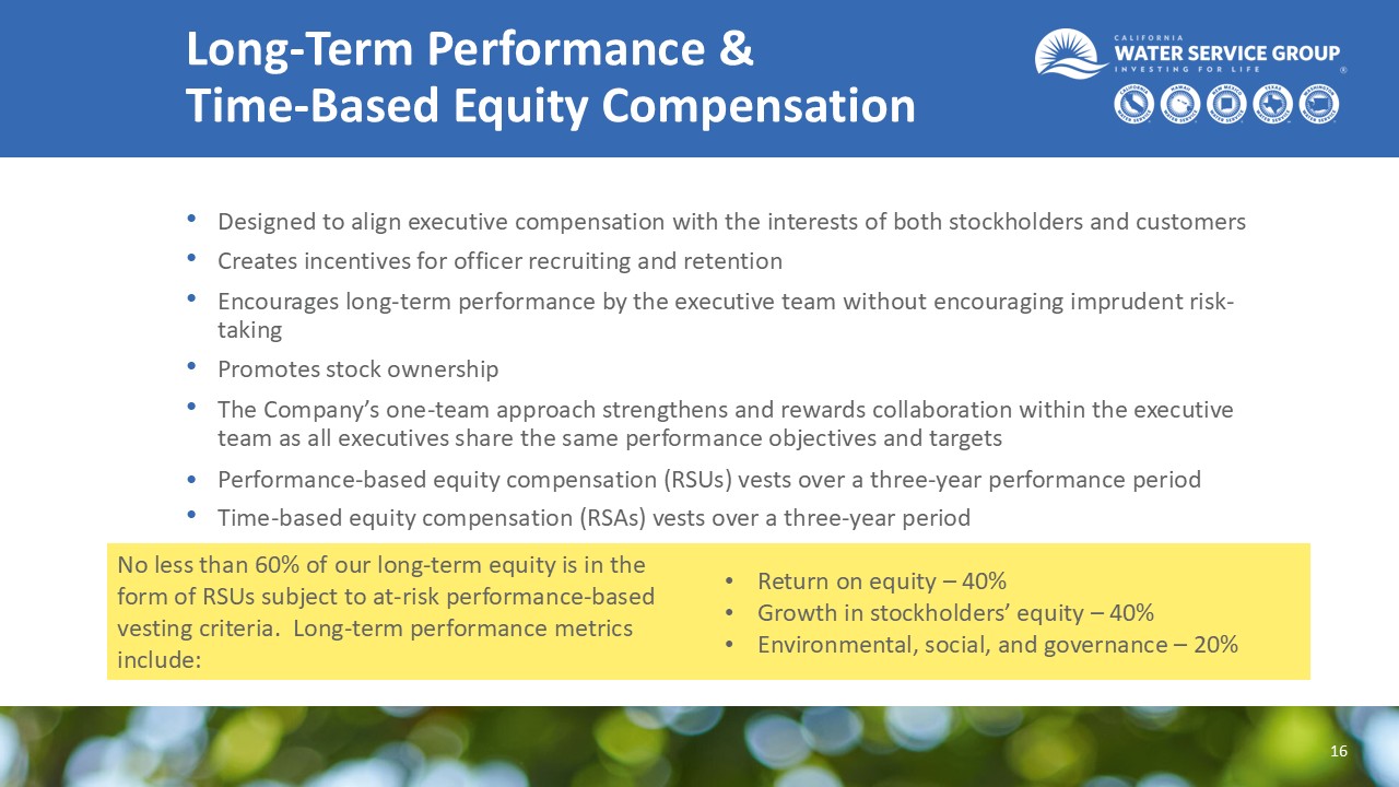 Accessible PDF of the 2025 Annual Stockholder Meeting Outreach presentation is available under the Documents dropdown at the top of the page