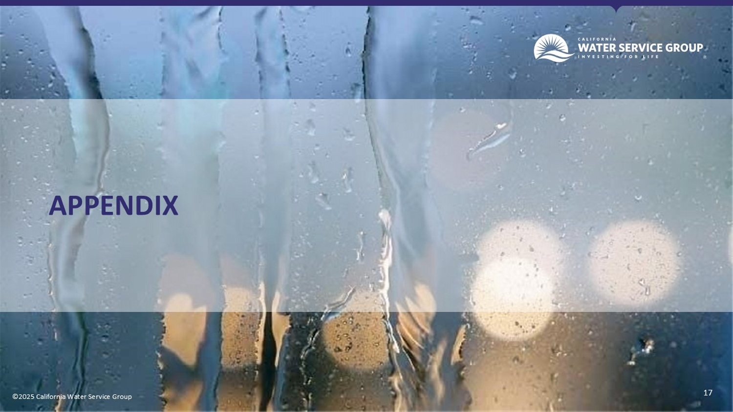 California Water 3rd Quarter Presentation; accessible PDF available in Documents dropdown menu