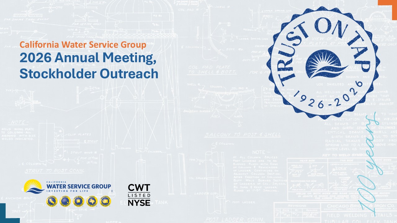 Accessible PDF of 2026 Annual Meeting, Stockholder Outreach presentation available under Documents dropdown menu